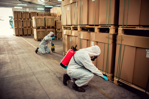 Best Bed Bug Extermination  in Center Point, IA