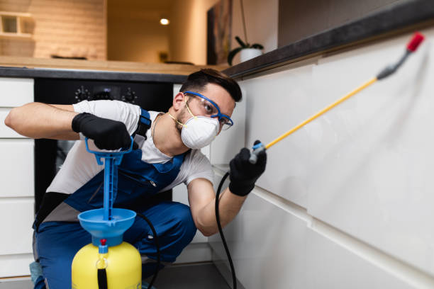 Best Pest Control Near Me in Center Point, IA