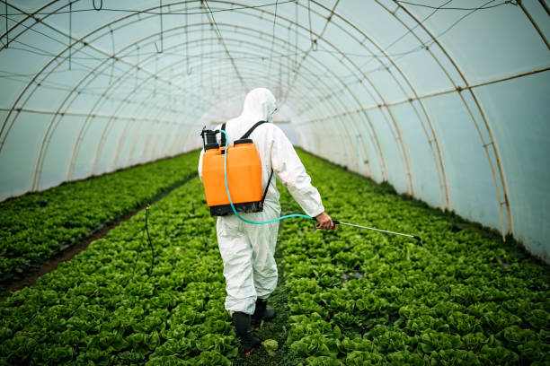 Best Local Pest Control Services  in Center Point, IA
