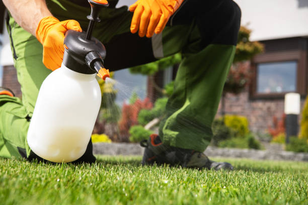 Best Pest Removal Services  in Center Point, IA