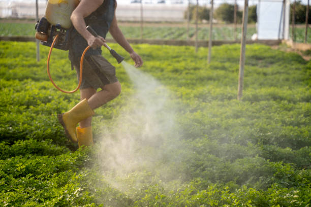 Best Affordable Pest Control Services  in Center Point, IA
