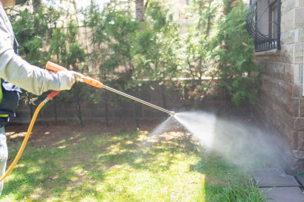 Best Mosquito Control Services  in Center Point, IA