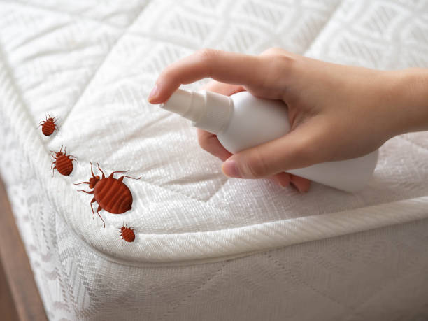 Best Flea Control Services  in Center Point, IA